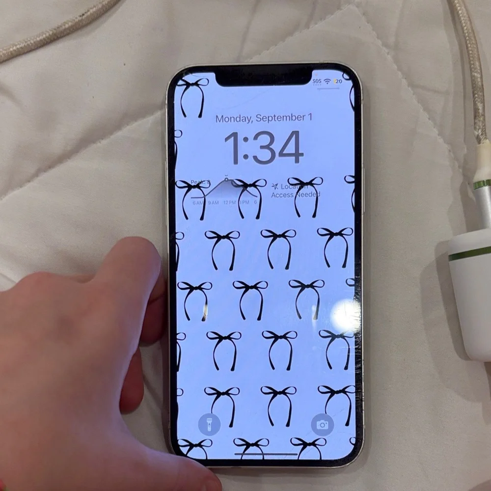Apple Black and Silver Smartphone